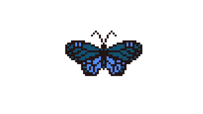  blue butterfly